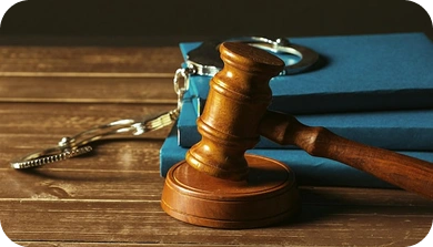 Home 12 Criminal Law